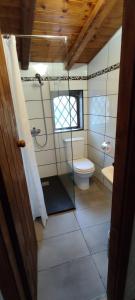 a bathroom with a shower and a toilet and a window at Villa Vecchio in Castiglione di Sicilia