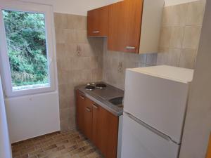 Kuchyň nebo kuchyňský kout v ubytování Apartments Prosika
