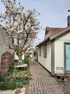 a tree with pink flowers on it next to a building at Schwedenliebe in Frechen