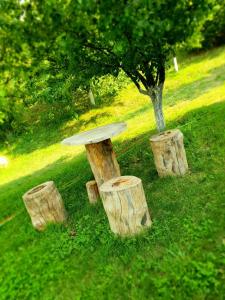 una mesa en la parte superior de los troncos de los árboles en la hierba en Guest house Ijevan's Garden en Ijevan