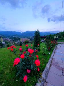 Paesaggio naturale nelle vicinanze del bed & breakfast