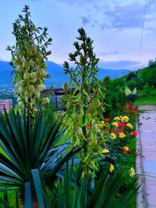 Paesaggio naturale nelle vicinanze del bed & breakfast