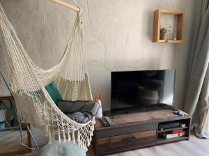 Televízia a/alebo spoločenská miestnosť v ubytovaní La Maison Du Parc RDC