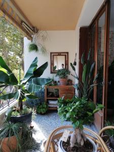 Fotografia z galérie ubytovania Chambre chez l'habitant - L'Estaque v destinácii Marseille