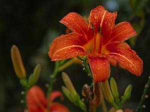 Fotografie z fotogalerie ubytování Blanca María v destinaci San Francisco