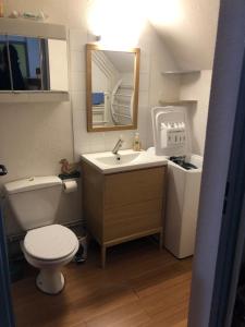 a small bathroom with a toilet and a sink at Appartement 3è étage à St-Marie-de-Campan in Sainte-Marie-de-Campan