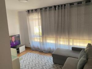 salon z kanapą i telewizorem w obiekcie Apartamento Centrico y Tranquilo El Rinconcito w mieście Ourense
