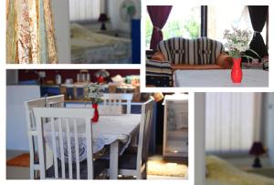 Fotografie z fotogalerie ubytování Sunset Hostel v destinaci Shkodër