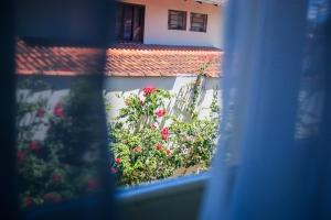 a view of a garden of flowers from a window at Hotel Palugi in Joinville