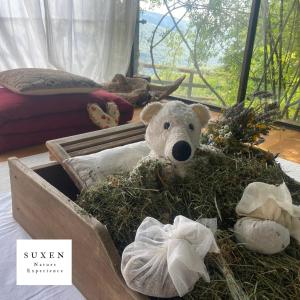 Suxen nature experience - glamping con vista panoramica