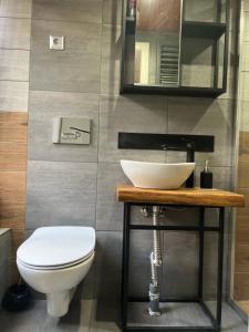 een badkamer met een wastafel en een toilet bij Idyllischer Bungalow am Badesee in Reuthen