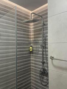 baño con ducha y puerta de cristal en Luxury Apartment in Sarajevo, en Sarajevo