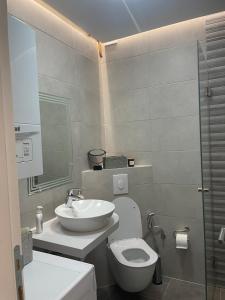 y baño con aseo y lavamanos. en Luxury Apartment in Sarajevo, en Sarajevo