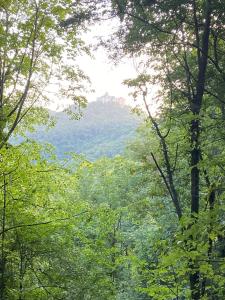 Suxen nature experience - glamping con vista panoramica