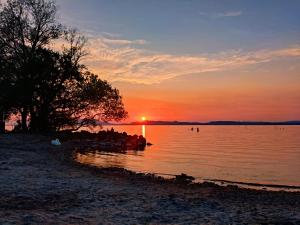 un tramonto su un corpo d'acqua con un albero di Molnár Vendégház a Balatonboglár