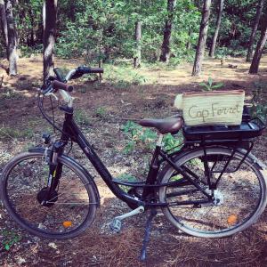 - un vélo avec un panier garé dans les bois dans l'établissement La Cabane du Ferret, à Lège-Cap-Ferret