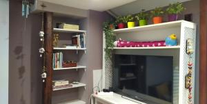 a living room with a tv and shelves with plants at La vue marine II in Burgas