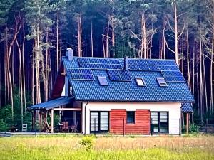 uma pequena casa com um telhado azul numa floresta em Blue Lake Villa em Gostycyn