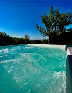 una piscina de agua azul y un árbol en MiaClara Relais en Alba