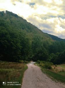 a dirt road in the middle of a mountain at Cabana de lângă Vale in Budureasa