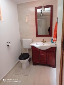 a bathroom with a toilet and a sink and a mirror at Cabana de lângă Vale in Budureasa