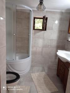 W łazience znajduje się prysznic i umywalka. w obiekcie Cabana de lângă Vale w mieście Budureasa