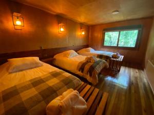 Gallery image of Illi Lodge & Hostel in Ranco