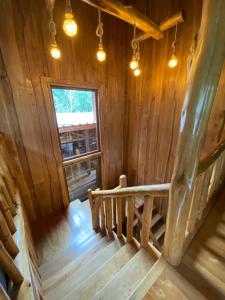 Gallery image of Illi Lodge & Hostel in Ranco +23 photos