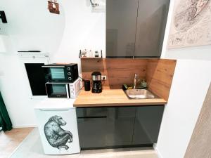 una pequeña cocina con fregadero y microondas en Studio Jungle Ludres, en Ludres