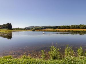 a lake with a swan in the middle of it at Ailsa Craig in Worcester