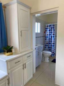 a white bathroom with a toilet and a shower at Cozy Studio Apartment in Quiet Neighborhood! in Philipsburg