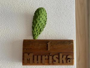 a green cactus sitting on top of a sign on a wall at Domoemare in Siniscola