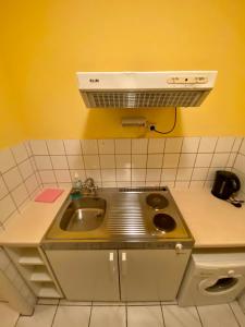 a kitchen with a sink and a stove at Appartement Pension 700m zum Ring in Vienna