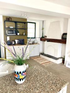 uma cozinha com um vaso com flores num balcão em Greenlake House Tremezzina em Tremezzo