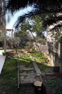 Fotografia z galérie ubytovania Apartment Baska Voda 6057b v destinácii Baška Voda + 12 fotografií