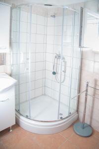 a shower with a glass door in a bathroom at Apartments with a parking space Postira, Brac - 6049 in Postira