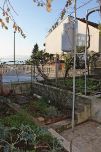Fotografie z fotogalerie ubytování Apartments by the sea Businci, Ciovo - 6012 v Trogiru + 20 fotografií