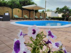 un grupo de flores frente a una piscina en Seaside apartments with a swimming pool Nin, Zadar - 5930, en Nin