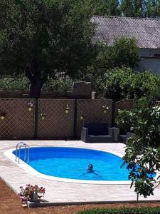 una persona nadando en una piscina en Seaside apartments with a swimming pool Nin, Zadar - 5930, en Nin 12 fotos más