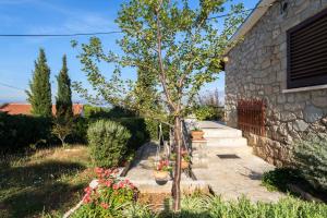 Zahrada ubytování Holiday house with a parking space Postira, Brac - 6052