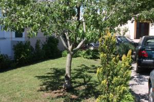 Zdjęcie z galerii obiektu Apartments with a parking space Turanj, Biograd - 6212 w mieście Turanj +16 zdjęć