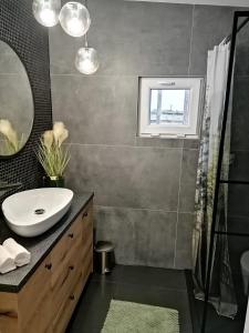 uma casa de banho com um lavatório e um espelho em Domek Roztocze em AdamÃ³w