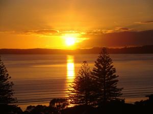 a sunset over the water with trees in the foreground at Marsden Suites Nautilus Orewa in Orewa