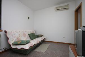 a couch sitting in a room with a tv at Apartments with a parking space Sukosan, Zadar - 6122 in Sukošan