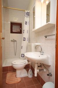 ein Bad mit einem WC, einem Waschbecken und einer Dusche in der Unterkunft Apartments with a parking space Ljubac, Zadar - 6141 in Ražanac