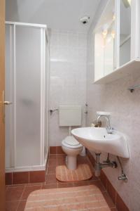 ein Bad mit einem WC, einem Waschbecken und einer Dusche in der Unterkunft Apartments with a parking space Ljubac, Zadar - 6141 in Ražanac