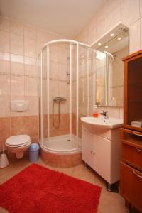 ein Bad mit einer Dusche, einem WC und einem Waschbecken in der Unterkunft Apartments with a parking space Sveti Petar, Biograd - 6169 in Sveti Petar