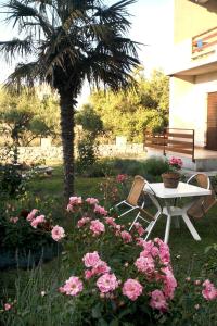 Fotografie z fotogalerie ubytování Apartments by the sea Sukosan, Zadar - 6176 v destinaci Sukošan