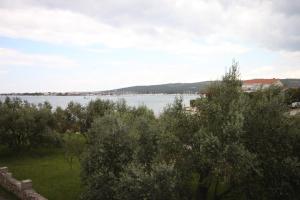 Fotografie z fotogalerie ubytování Apartments by the sea Sukosan, Zadar - 6176 v destinaci Sukošan
