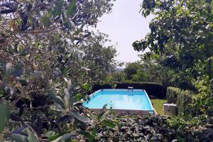 a swimming pool in a yard with trees at Holiday house with a swimming pool Cepic, Central Istria - Sredisnja Istra - 7403 in Pulgarija Čepić